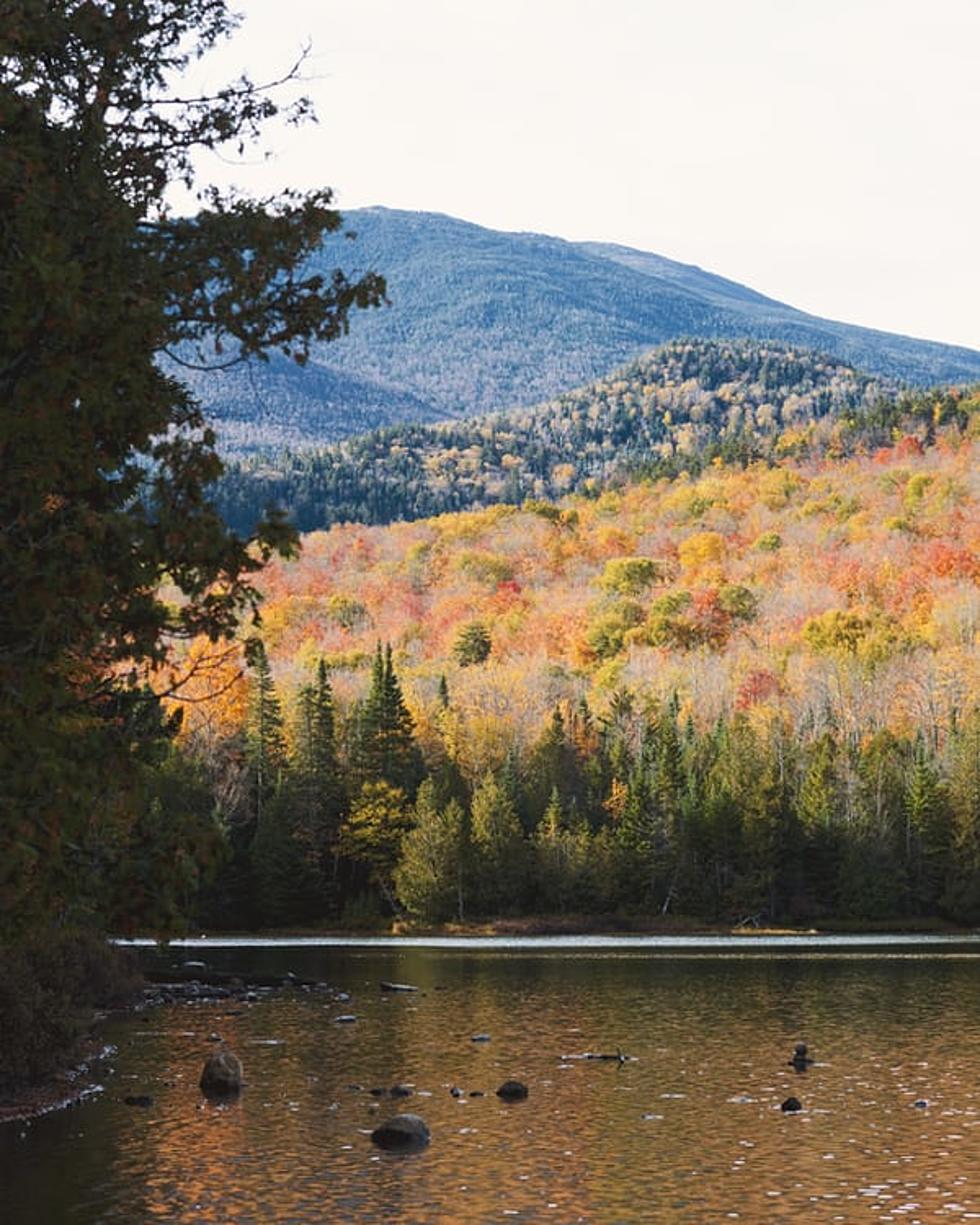 Cooler Weather Has Some Capital Region Foliage Already Worth Peeping