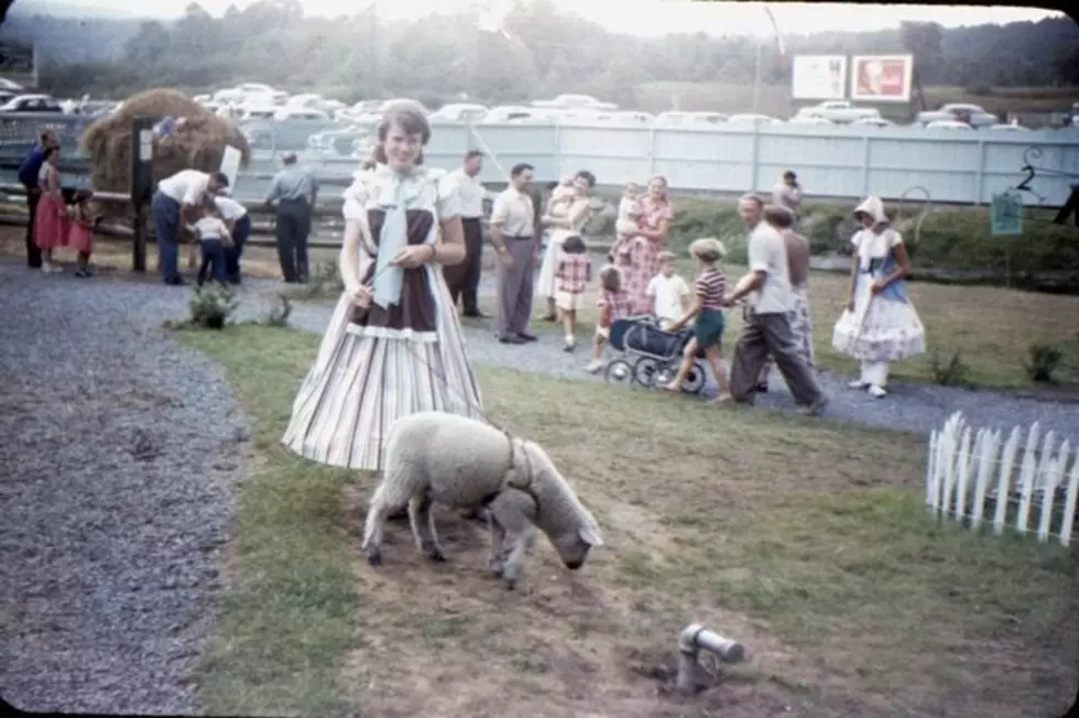 Photo: Bob Carrol