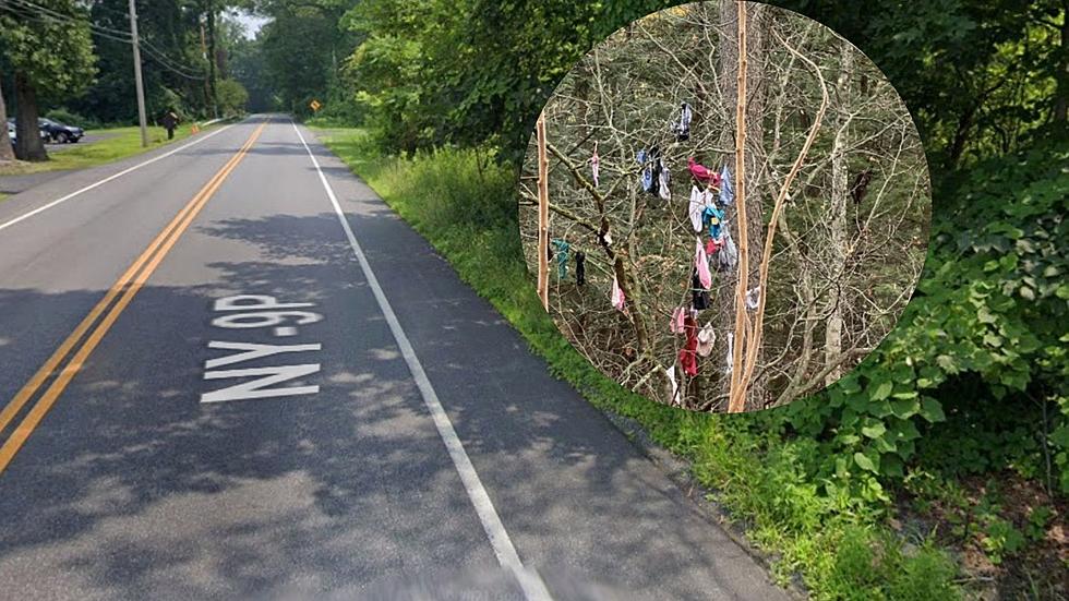 Roadside Attraction in NY Has People to Dropping Their Drawers