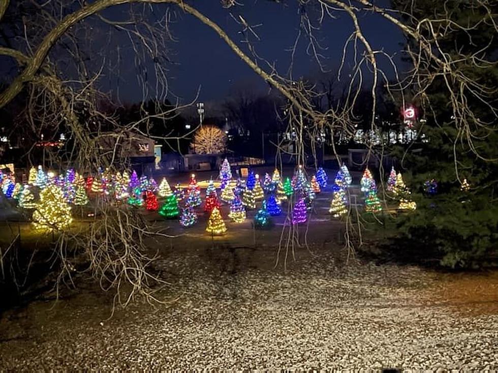 Warm Christmas Display in Albany Hopes to Bring Angels to the Outfield