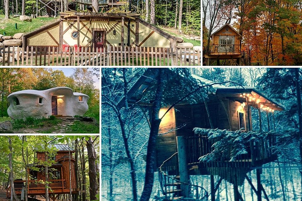 Be One With Nature In these 5 One of A Kind Capital Region Airbnbs: See Photos