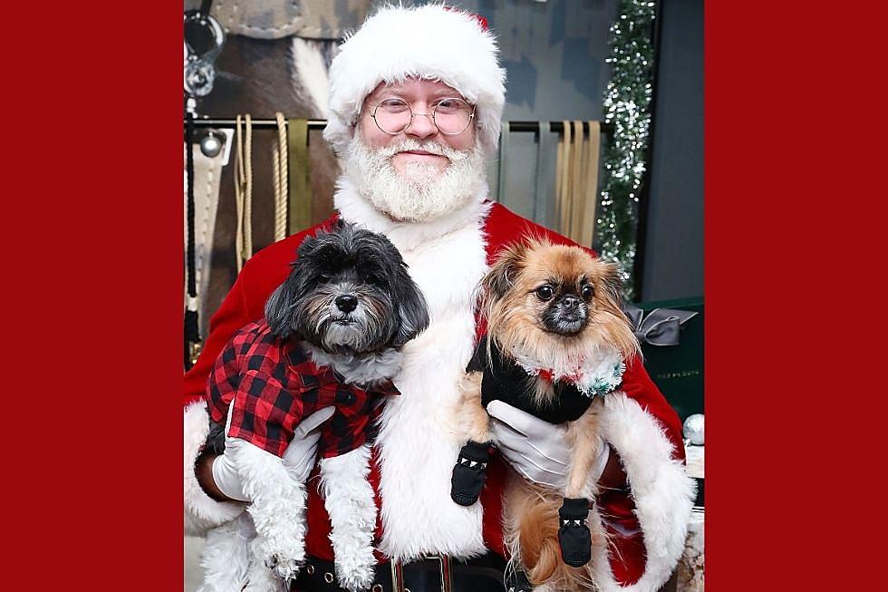 Your Furry Friend Can Sit on Santa’s Lap at These Capital Region Places