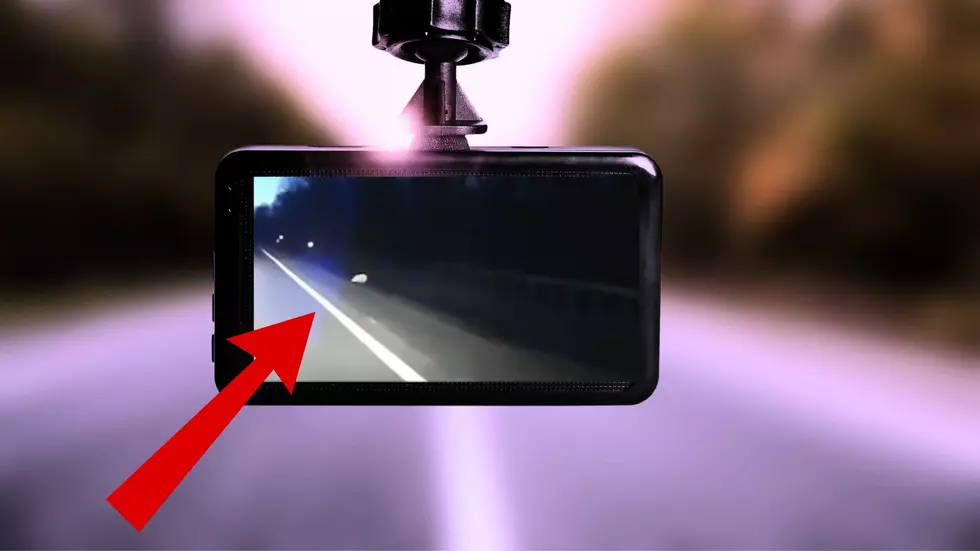 $14 Dashcam Catches 1 in a Million Sighting for Man in Upstate NY
