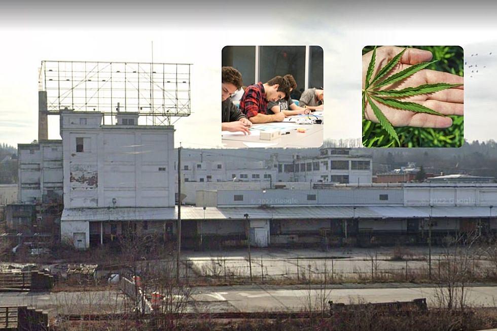 Old Beech-Nut Factory Growing into Cannabis Plant Will Train at FMCC
