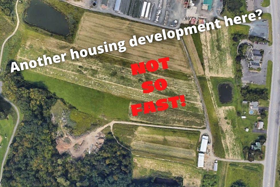 New Houses Replacing Farm Along Route 9 in Cohoes? Not So Fast