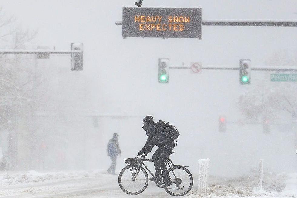 Albany Snow Total Update: Friday Storm To Dump Up To A Foot