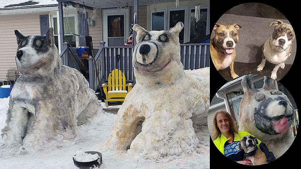 Last Licks! There’s Still Time to See Upstate NY’s Ginormous Snow Dogs