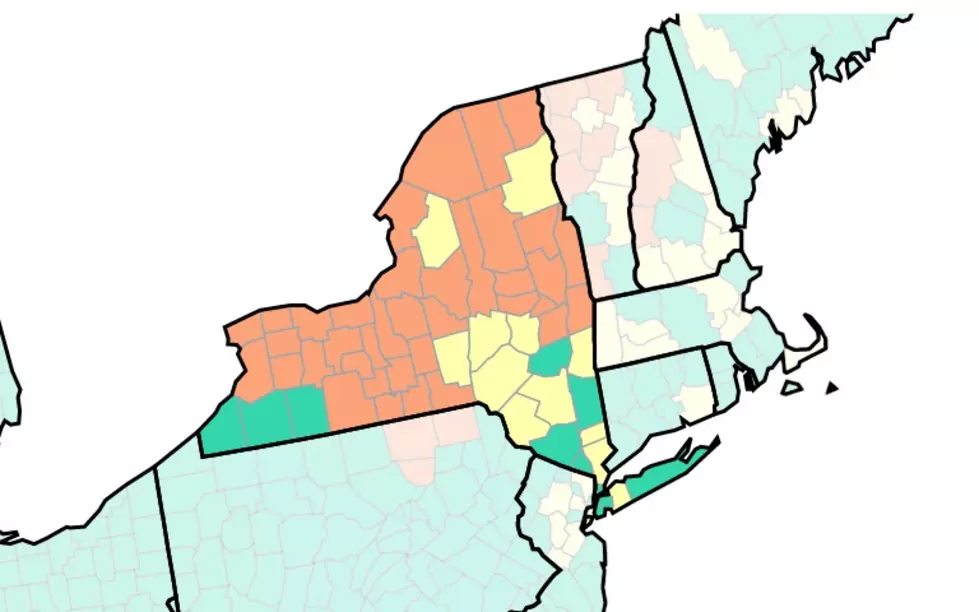 CDC Says Mask Up In 35 NY Counties, Including Several In Capital Region