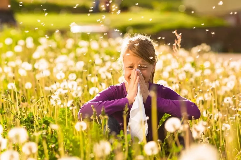 3 Upstate NY Cities Top The 25 Worst in US for Spring Allergies