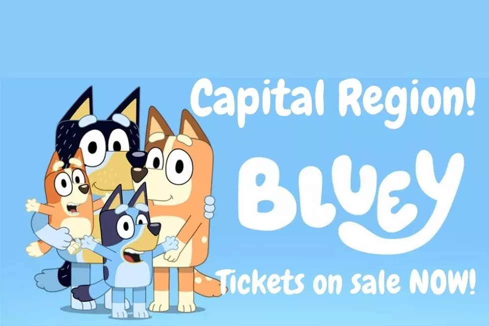 Wack-a-Doo! Tickets On Sale NOW Bluey's Coming to Proctors