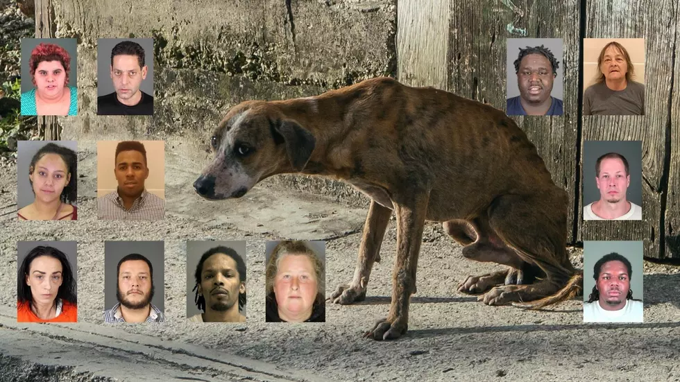 27 Registered Animal Abusers Convicted of Cruelty in Upstate NY