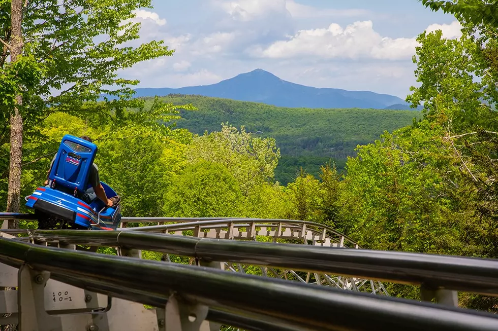 Take a Thrill Ride on America&#8217;s Longest Mountain Coaster in Lake Placid