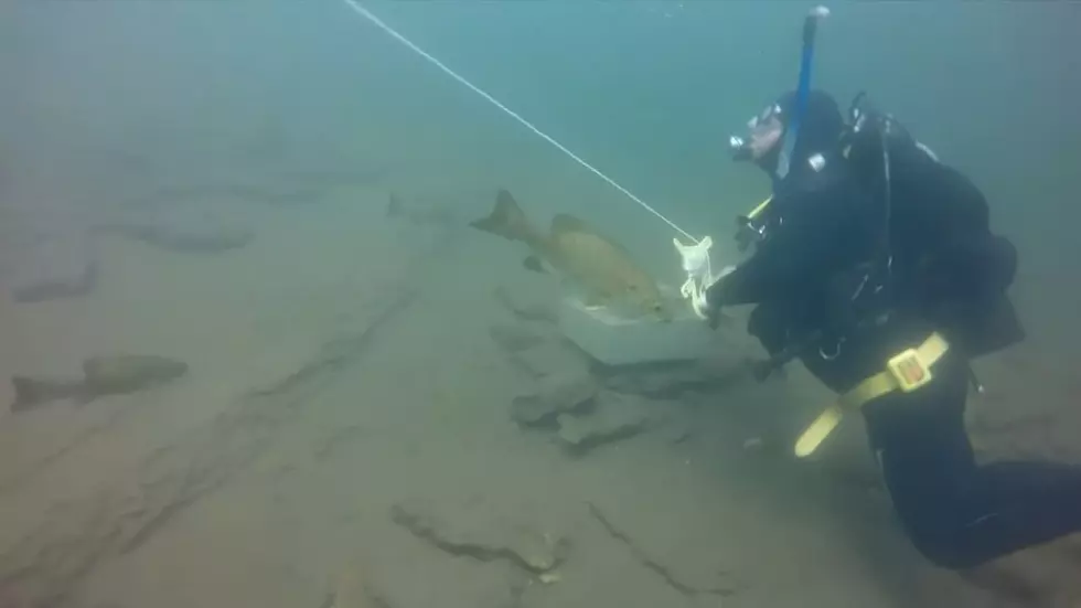 The Bottom of Lake George Is Like an Underwater Time Capsule