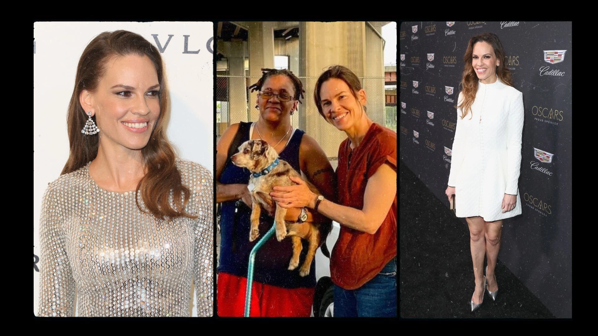 Hilary Swank Rescues Dog in Albany - But What's She Doing Here?