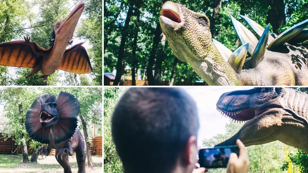 Want Excitement Off the Lake? The Dinosaurs are Back in the ADKS!