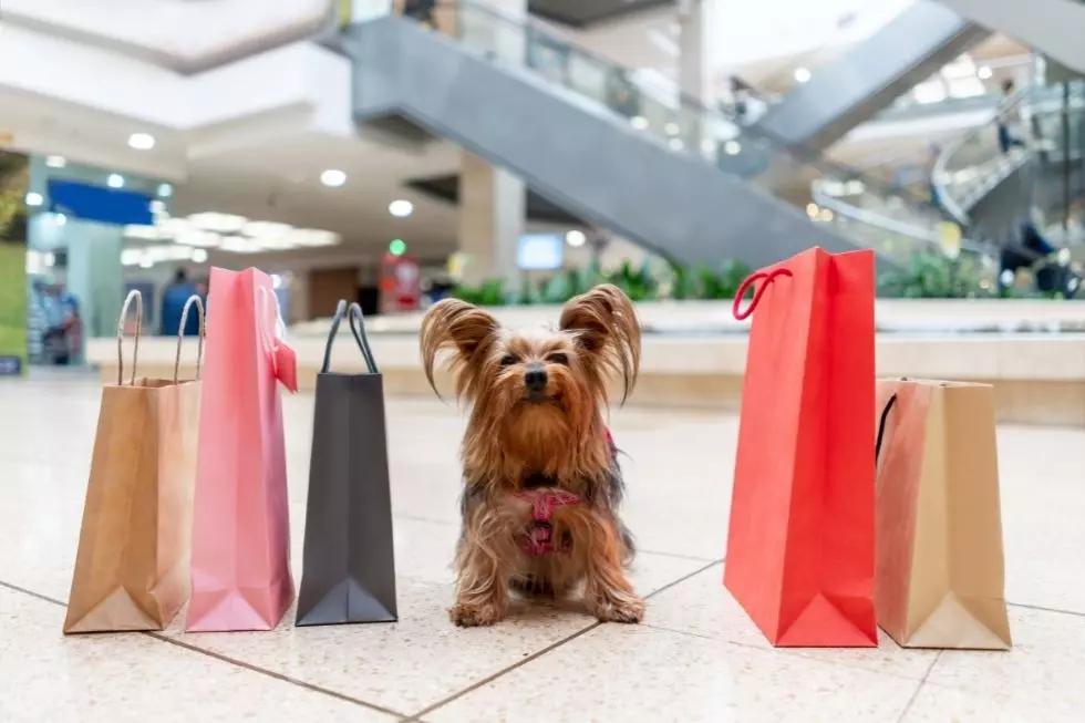 It's the Dog Days! Capital Region Mall Welcomes Dogs to Shop Too