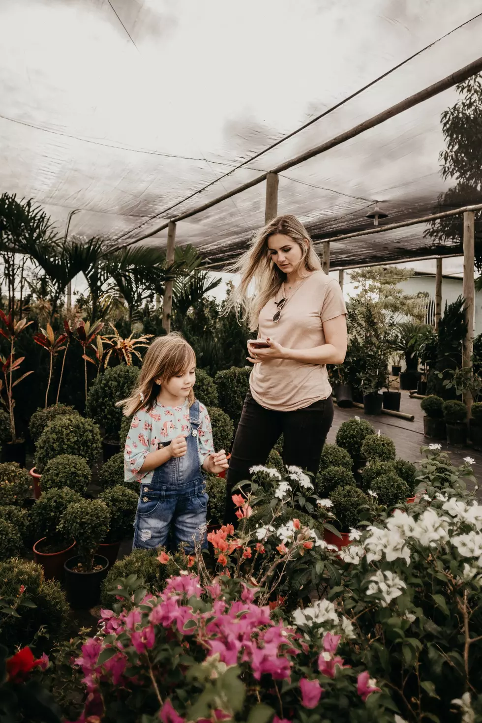 Local &#038; Unique Garden Center in Bloom and Open in Clifton Park