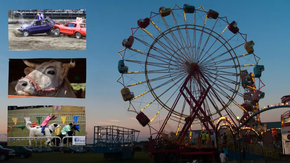 Animal Cruelty? Popular Attraction Canceled at Upstate NY County Fair