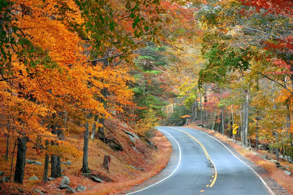 New York State’s Best Foliage Drive Is Only An Hour From Albany