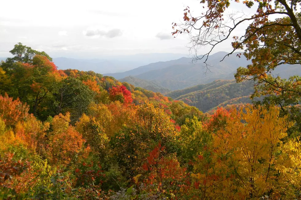 Take a Free Shuttle to the Adirondacks For Ultimate Leaf-Peeping