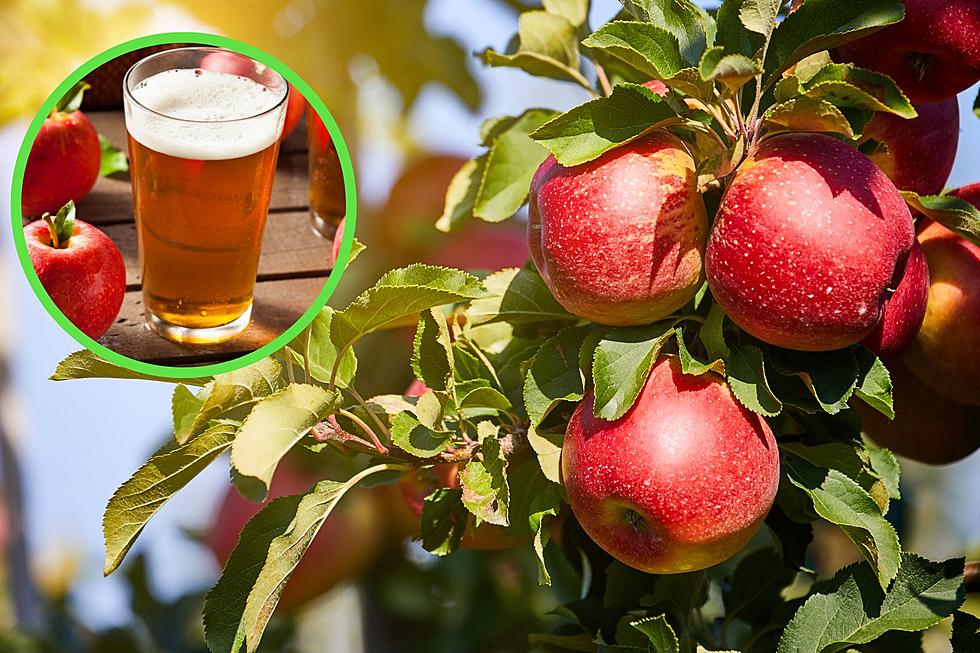 Deja Vu: Upstate NY Apple Orchard Voted Nation’s Best, Again!