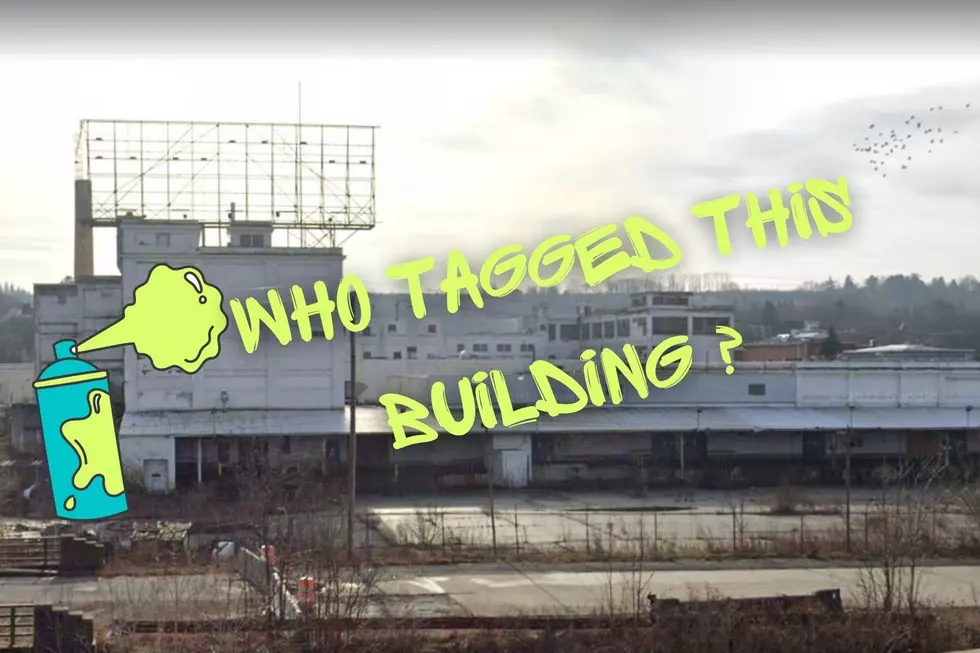 Upstate NY Police Need Help! Graffiti Artists Tagged Beech-Nut Plant [PICS]