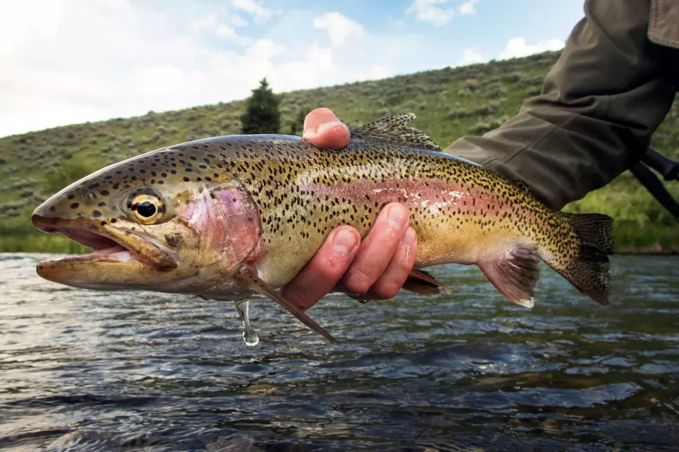 Keep Fishing in the Adirondacks Well Into Late Fall Thanks to NY DEC