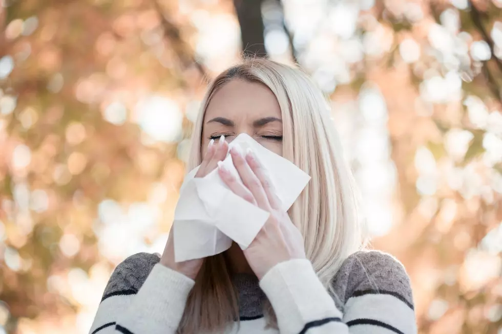 2 Upstate NY Cities Make Top10 Worst For Seasonal Allergies in US