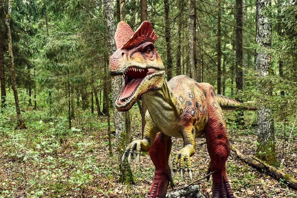 Life-Sized Dinosaurs To Appear At Altamont Fairgrounds This Weekend