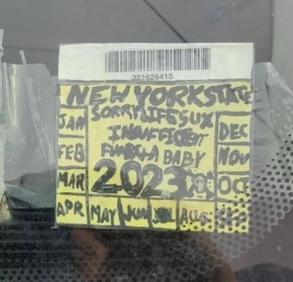 Sorry, Life Sux! Troopers in Upstate NY Pop Driver with Fake Inspection
