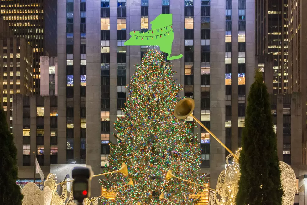 NYC Rockefeller Center Christmas Tree Coming From Upstate NY!
