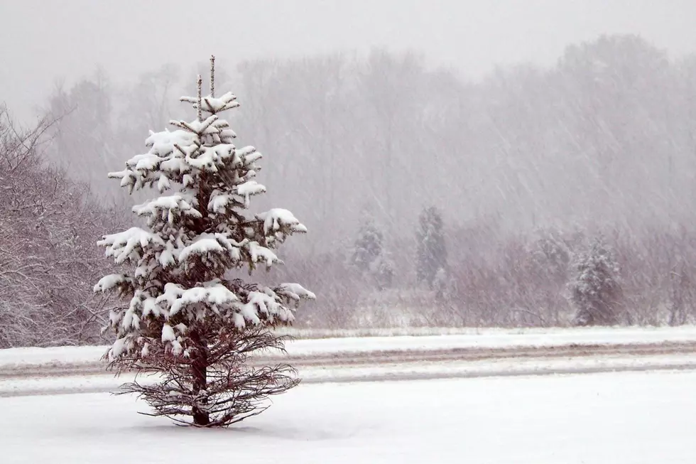 How Much Did We Get? See Capital Region Snowfall Totals