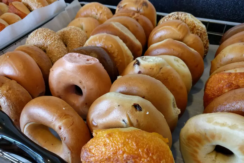 See The Capital Region’s 10 Best Bagel Shops [RANKED]