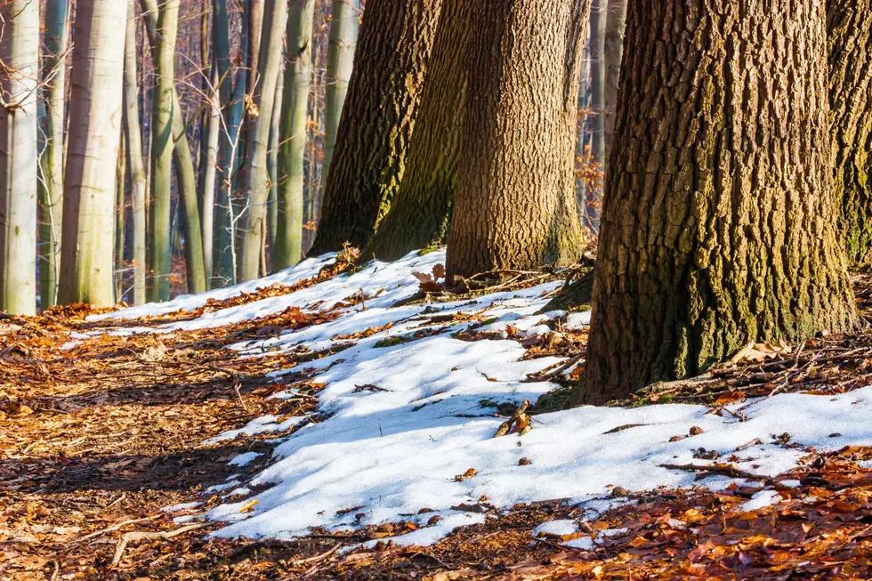 Where&#8217;s Winter? Capital Region To See Spring Like Temps This Week