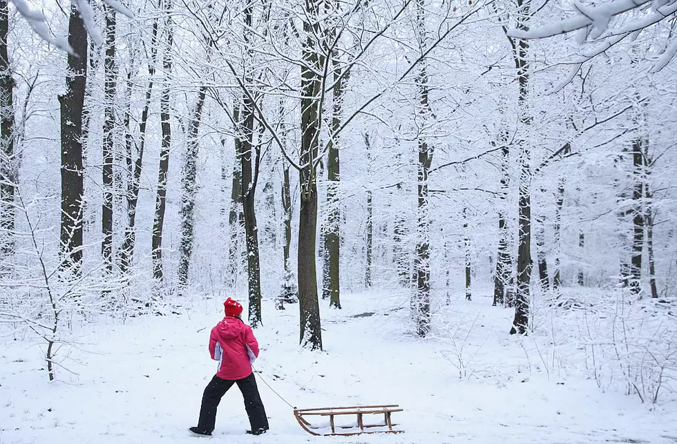 First Season's Snowfall In Berlin