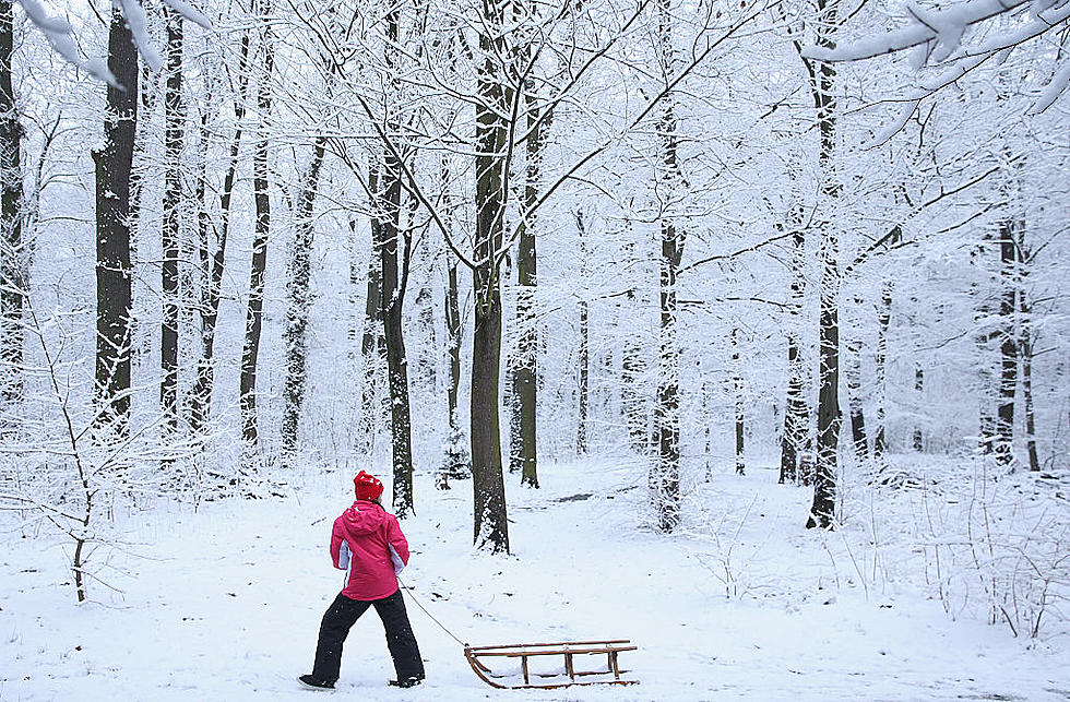 Early Spring? Not So Fast: Weather 'Flip-Flop' Coming To New York