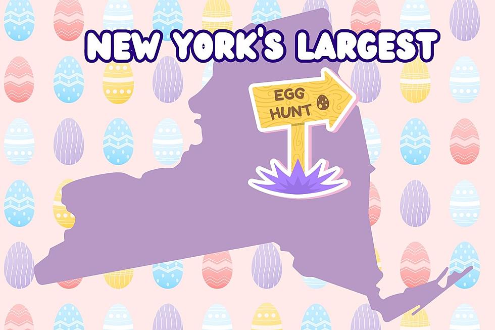 Family Fun! NY State's Largest Easter Egg Hunt is Here!