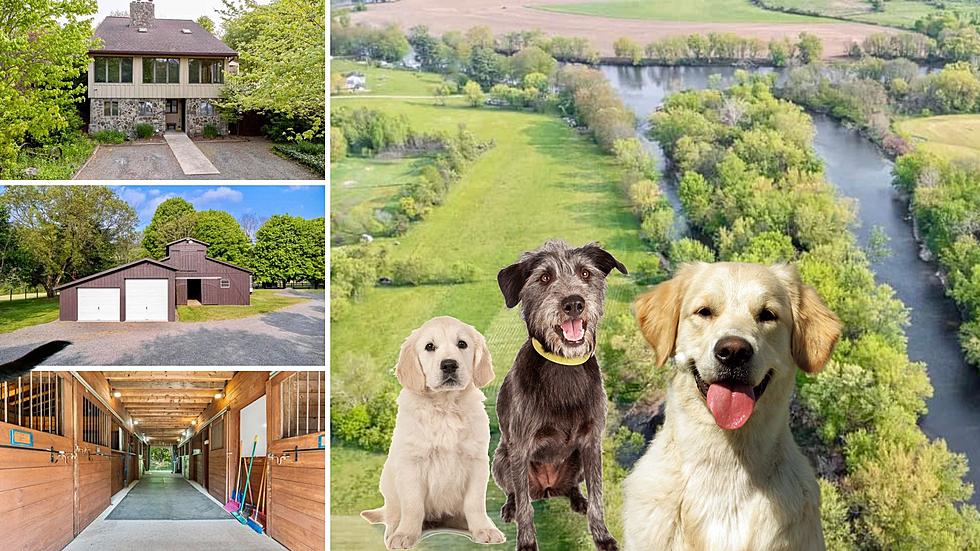 Doggy Paradise! Home in Upstate has 17 Acres and 3 Private Islands