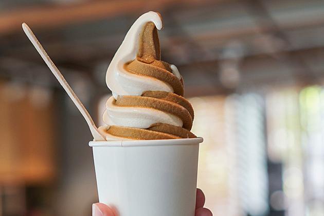 Kurver Creme In Albany Best In Nation For Soft Serve Ice Cream
