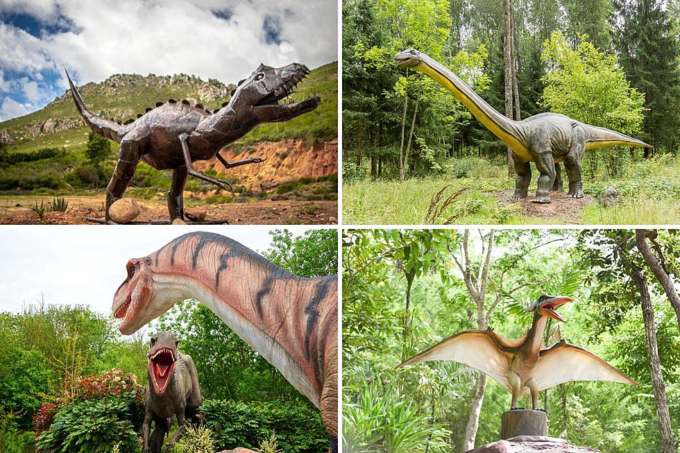 Could a New Dinosaur Park Be Roaring Into Upstate NY Soon?
