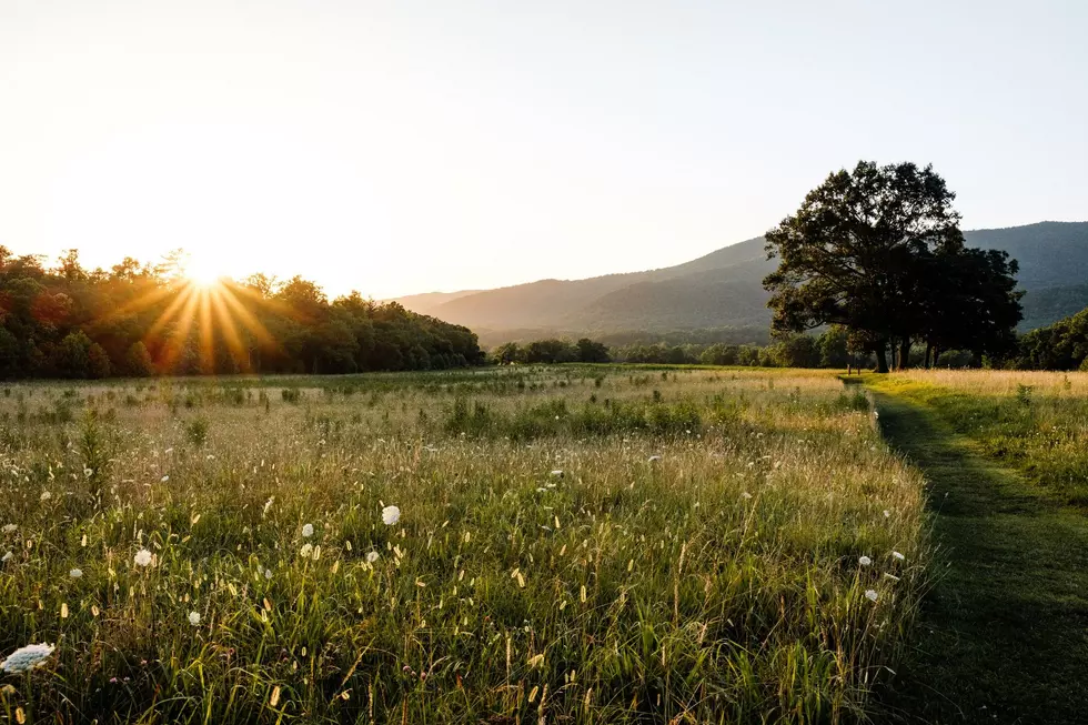 Wildflower Farms Facebook Page