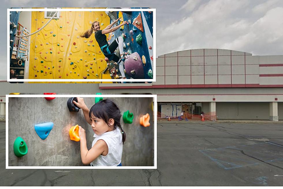 Another Tenant Climbing Into The Old Latham Kmart