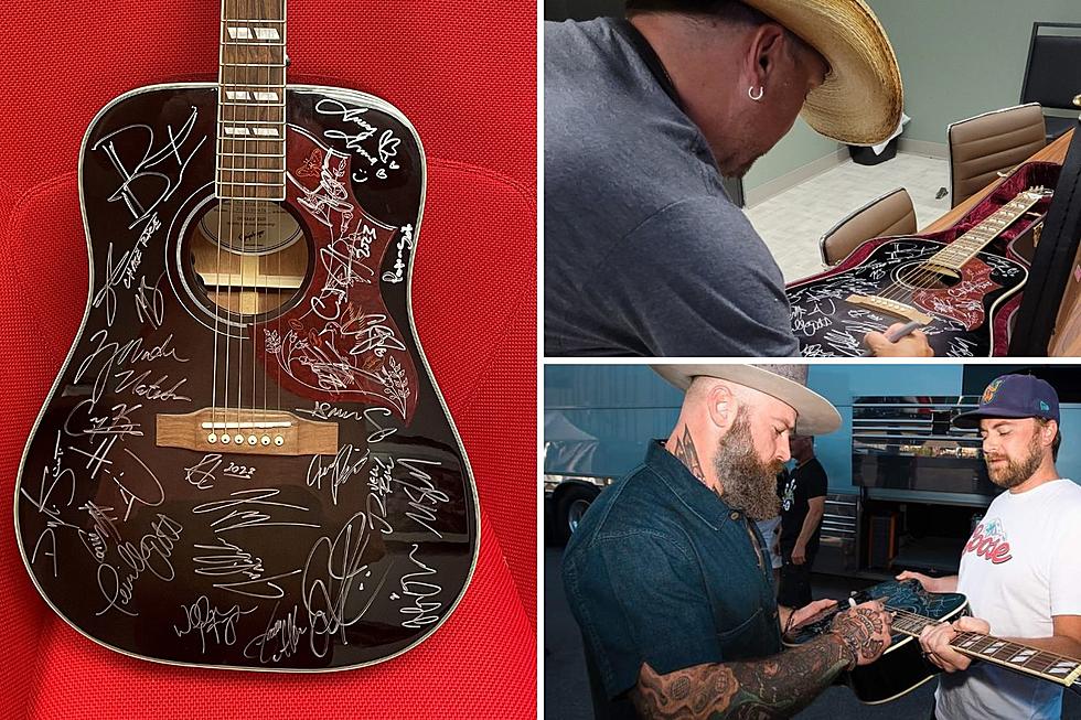 Bid On St. Jude Country Star Guitar