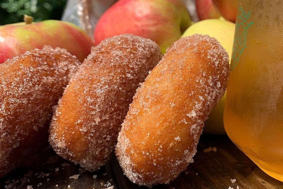 The Capital Region's 10 Best Cider Donuts [RANKED]