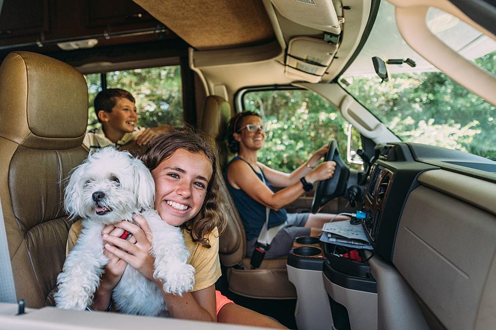 This Upstate NY Campground Rated #1 in U.S. to Bring Your Dogs