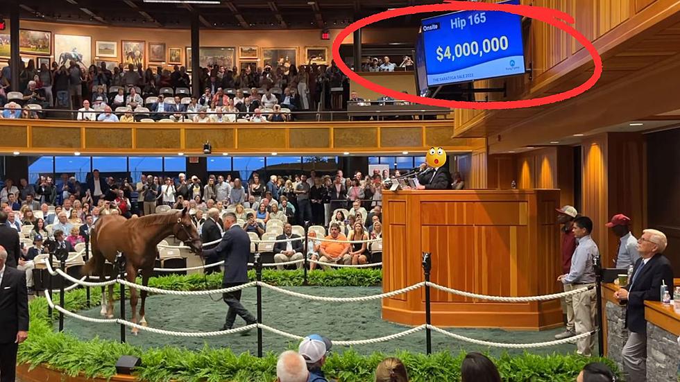 Horse at Saratoga Yearling Sale Goes for Whopping $4M Dollars!