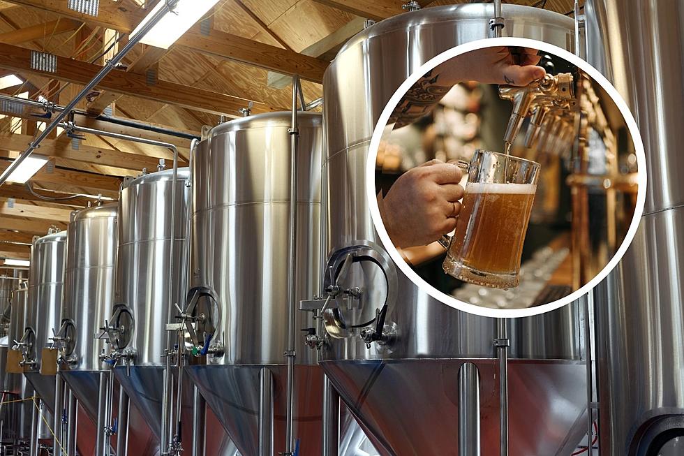Singlecut Brewery Named Among Best In The Nation