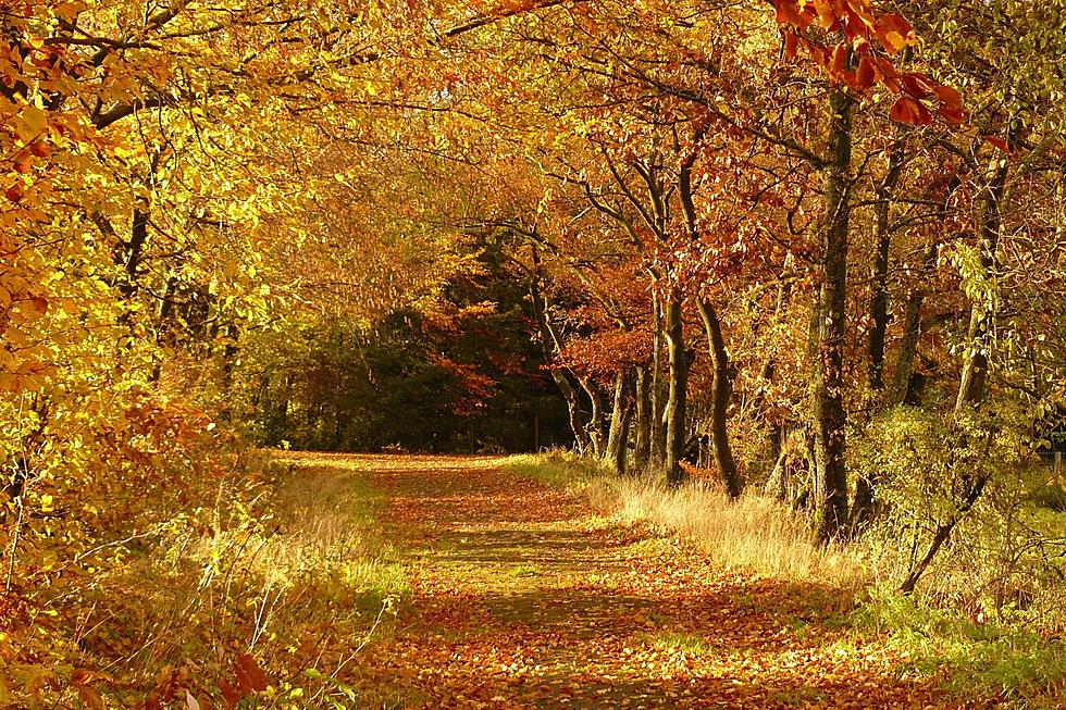 Two New York Destinations Voted Best In Nation For Fall Foliage