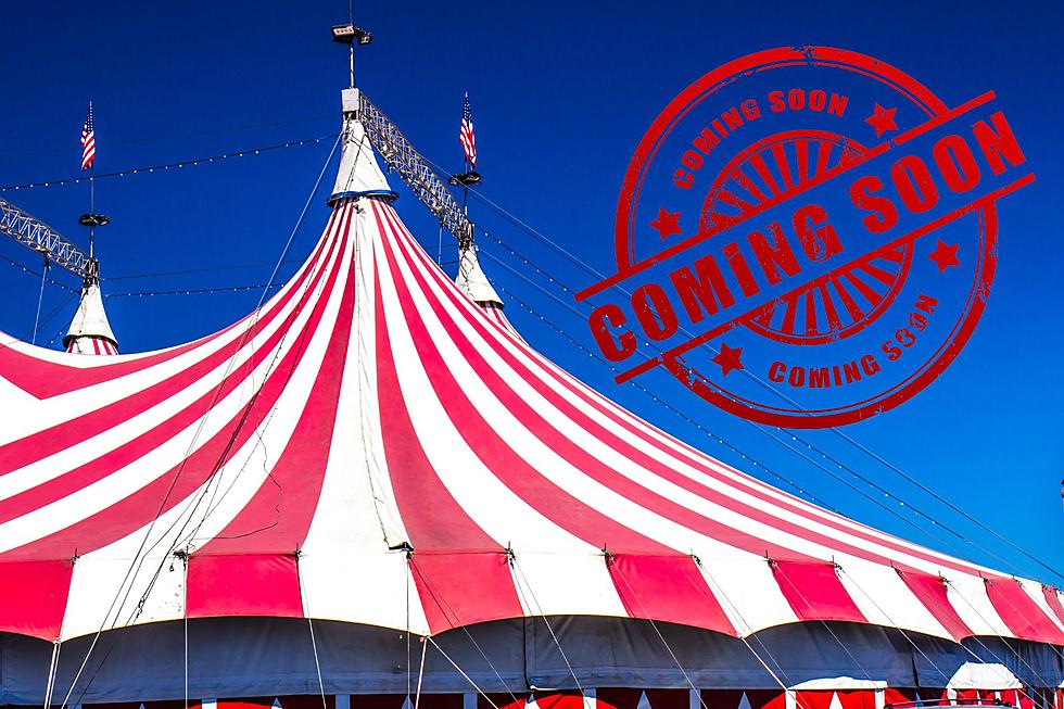 Come One Come All! The Circus Is Coming to Crossgates Mall!