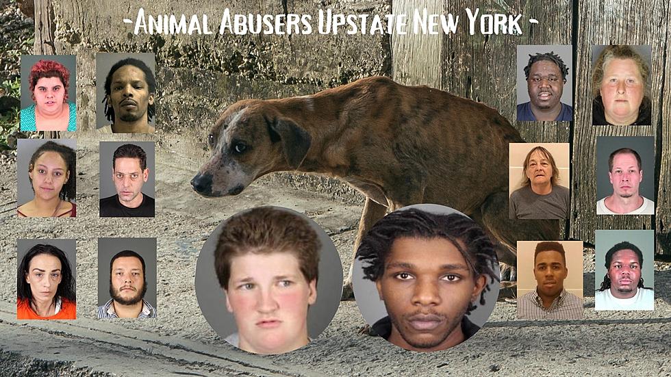 2 More Names Added to List of Animal Abusers in Albany County
